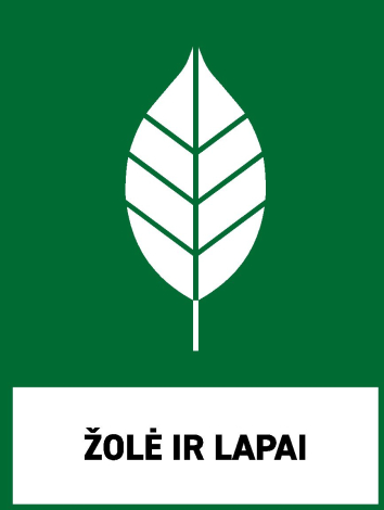 Žolė ir lapai