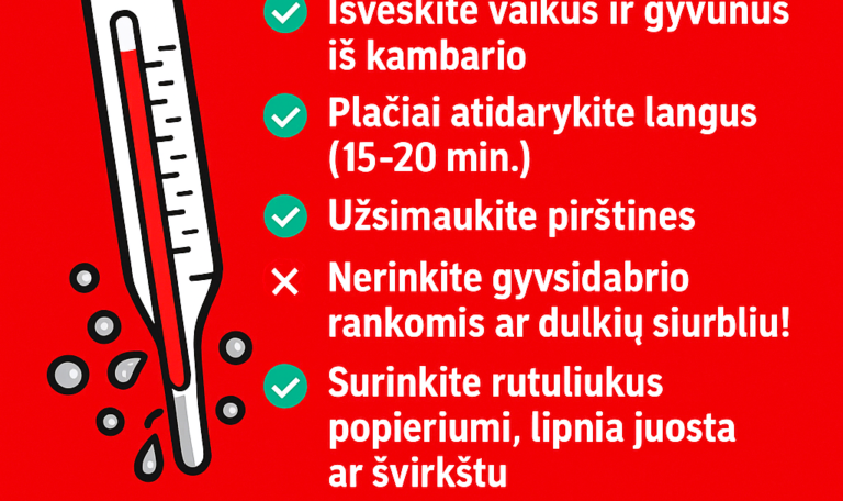 KAIP ELGTIS, JEIGU SUDUŽO GYVSIDABRIO TERMOMETRAS?