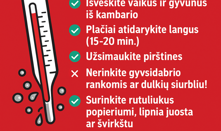 KAIP ELGTIS, JEIGU SUDUŽO GYVSIDABRIO TERMOMETRAS?