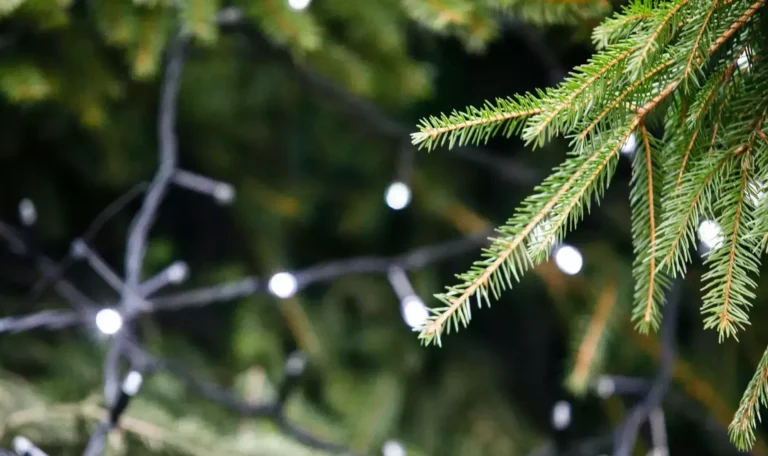 Automatiškai išsaugotas juodraštis