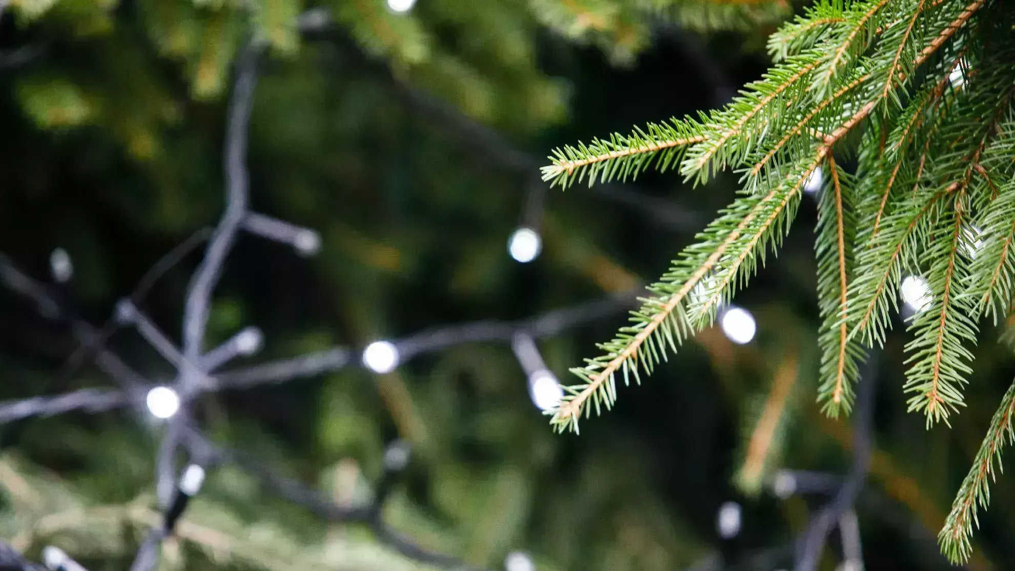 Automatiškai išsaugotas juodraštis